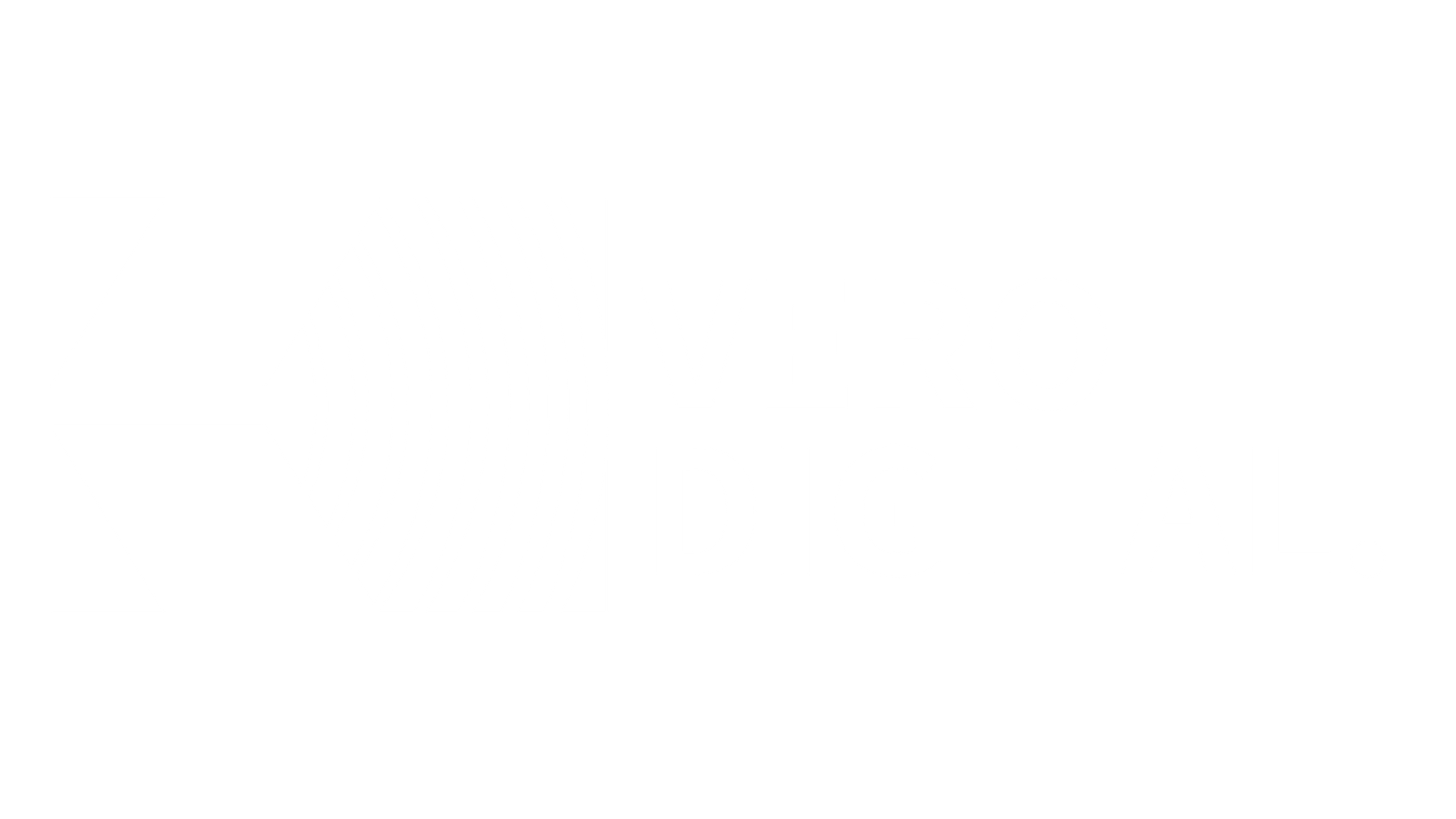 VERO Digital Intelligence